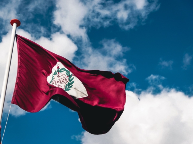 asset_5a05d5e13519d1.86258426_original Large